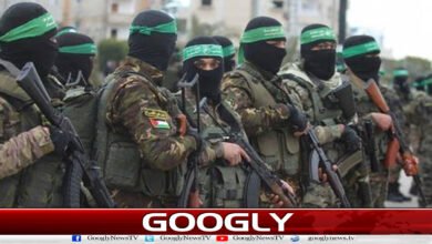 حماس بھی بورڈ آف پیس معاہدے سے متفق، غیر مسلح ہونے پر آمادہ : برطانوی میڈیا 2 Hamas also agrees to the peace deal and is willing to disarm: British media