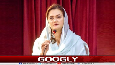 Mirpur has delivered a verdict in favor of the N-League: Marriyum Aurangzeb