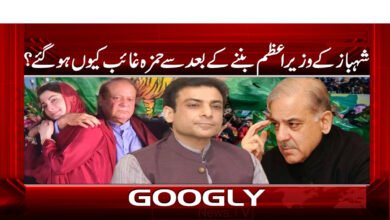 Why did Hamza disappear after Shahbaz became Prime Minister?