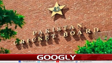 پی سی بی نے قومی کرکٹرز کو بیرون ملک لیگز کھیلنے کےلیے این او سی جاری کردیے 2 The PCB has issued NOCs to national cricketers to play in overseas leagues.
