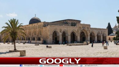 پاکستان سمیت 8 اسلامی ممالک کی مسجدِ اقصیٰ میں اسرائیلی اقدامات کی شدید مذمت 5 Eight Islamic countries, including Pakistan, strongly condemn Israeli actions at Al-Aqsa Masjid.