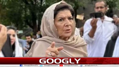PTI Street Movement: Our next destination is Adiala Jail, Aleema Khan.