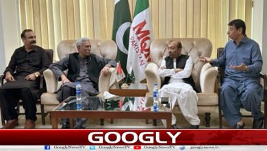 Azad Kashmir Elections: MQM announces support for PML-N.