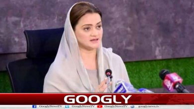 PML-N will redress the grievances of Azad Kashmir: Marriyum Aurangzeb