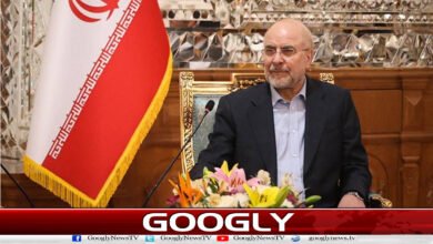 ایران معاہدے کی خلاف ورزی کی صورت میں بھرپور جواب دےگا: باقر قالیباف 2 Iran will respond forcefully in the event of a violation of the agreement: Baqer Qalibaf