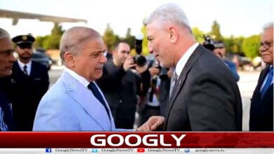 Prime Minister Shehbaz Sharif has arrived in Istanbul on a visit to Türkiye.