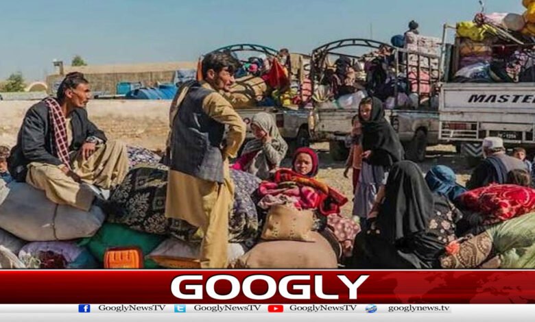 More than 37,000 foreign nationals, including Afghans, deported from Punjab