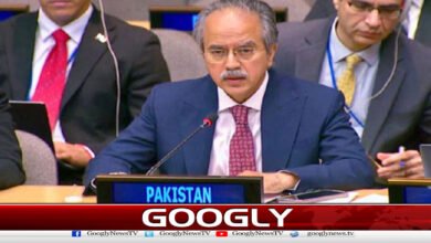 مشرق وسطیٰ میں امن کیلئے مسئلہ فلسطین کا منصفانہ حل ناگزیر ہے: پاکستان 2 A just solution to the Palestinian issue is essential for peace in the Middle East: Pakistan