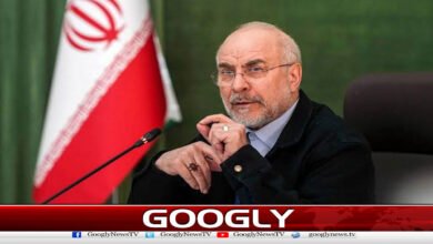 ٹرمپ کے خوراک سے متعلق دعوے پر ایران کا دوٹوک جواب 5 Iran's blunt response to Trump's food claim