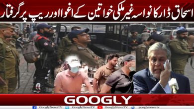 اسحاق ڈار کا نواسہ غیر ملکی خواتین کے اغوااور ریپ پر گرفتار 5 Dar