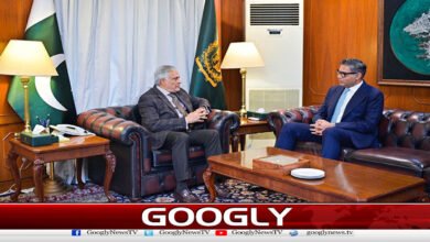 اسحاق ڈار کی برطانوی ہائی کمشنر سے ملاقات، خطے کی صورتحال پر تبادلہ خیال 2 Ishaq Dar meets British High Commissioner, discusses regional situation