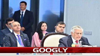 Terrorism from Afghanistan is a big challenge for Pakistan: Ishaq Dar
