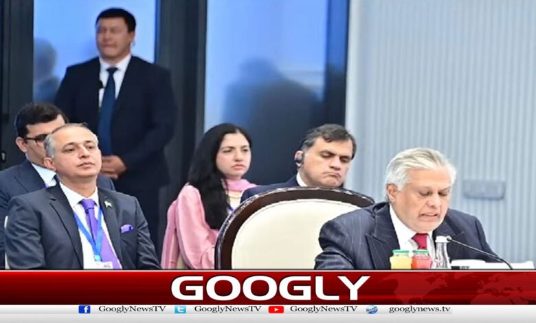Terrorism from Afghanistan is a big challenge for Pakistan: Ishaq Dar