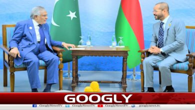 Ishaq Dar meets Omani counterpart; discusses peace, dialogue and cooperation