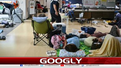 Death toll from Japan earthquake rises to 28