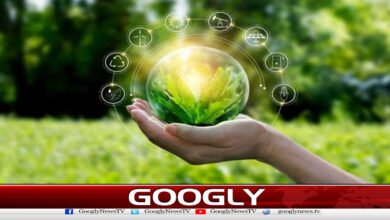Adopt environmentally friendly measures, receive millions in rewards from the government, but how?