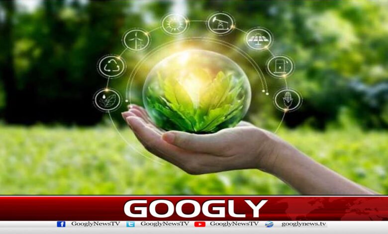 Adopt environmentally friendly measures, receive millions in rewards from the government, but how?