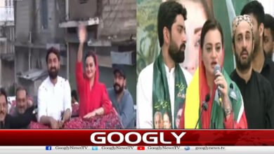 Will lay a network of development projects in Azad Kashmir: Marriyum Aurangzeb