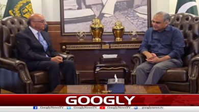 Pakistan's joint efforts are ongoing for lasting peace in the region, Mohsin Naqvi