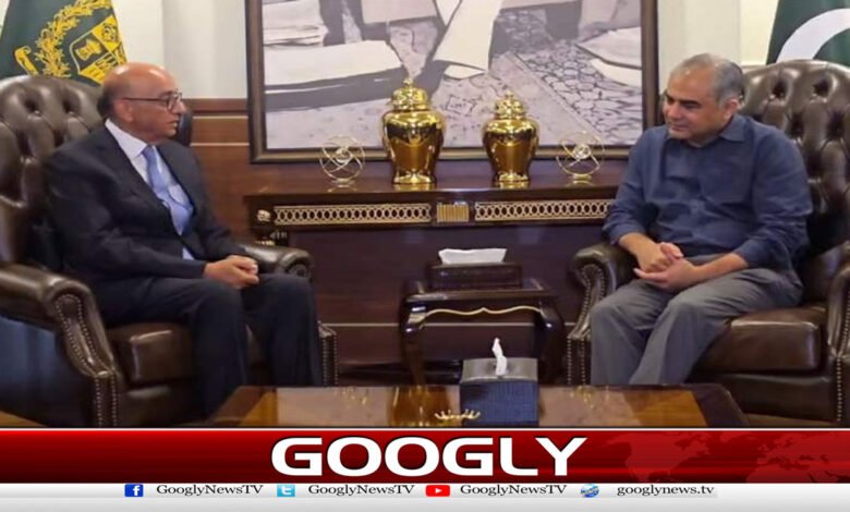 Pakistan's joint efforts are ongoing for lasting peace in the region, Mohsin Naqvi