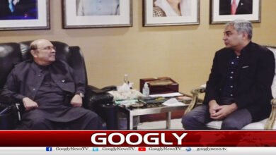 Mohsin Naqvi meets President Zardari, discusses security and political situation