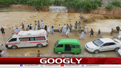 مون سون بارشوں کی تباہی؛ پنجاب، کے پی میں 23 افراد جاں بحق 2 Monsoon rains wreak havoc; 23 people killed in Punjab, KP
