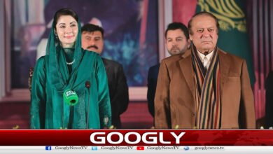 What new work did Maryam Nawaz assign to Abaji?