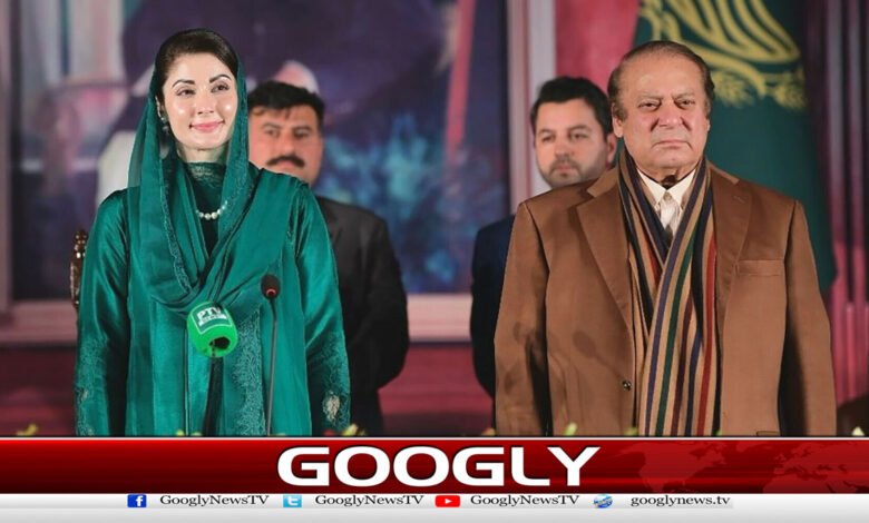 What new work did Maryam Nawaz assign to Abaji?