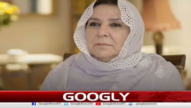 معرکہ حق سے متعلق متنازع بیان، نورین نیازی نے الزامات مسترد کر دیے 2 Controversial statement regarding the struggle for truth, Noreen Niazi rejects the allegations