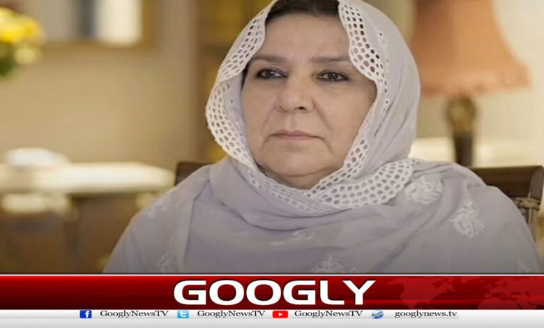 معرکہ حق سے متعلق متنازع بیان، نورین نیازی نے الزامات مسترد کر دیے 1 Controversial statement regarding the struggle for truth, Noreen Niazi rejects the allegations