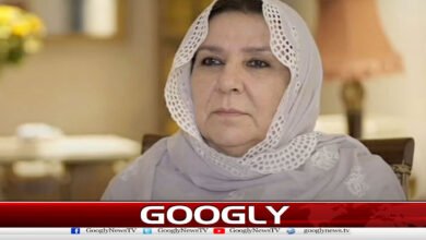 Case registered against Noreen Niazi under PICA and Pakistan Penal Code Act