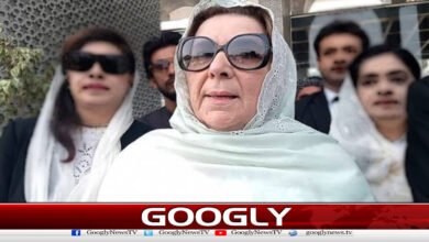 Lahore High Court grants protective bail to Noreen Niazi