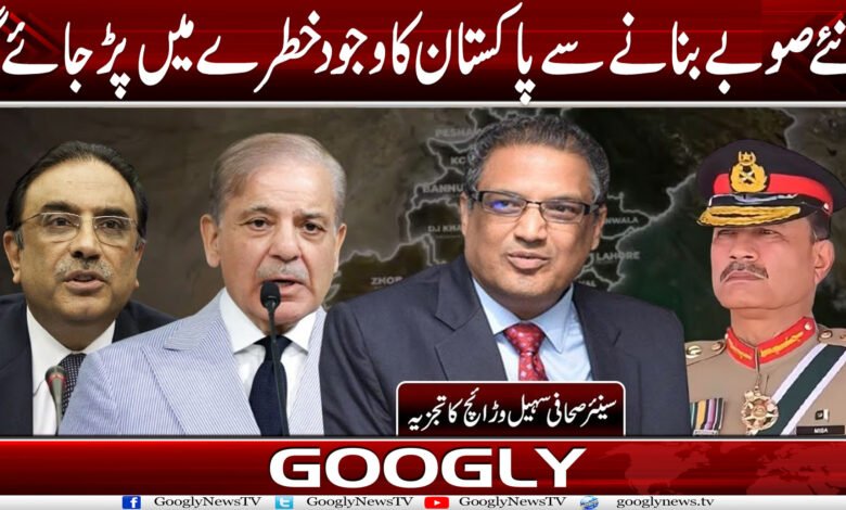 نئے صوبے بنانے سے پاکستان کا وجود خطرے میں پڑ جائے گا 1 Prov