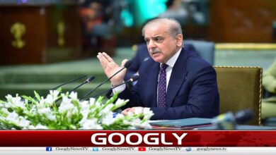 گلگت کی تعمیر و ترقی حکومت کی اولین ترجیح ہے: وزیر اعظم 5 The development and construction of Gilgit is the government's top priority: Prime Minister