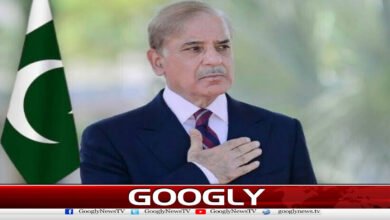 Joint efforts are essential to tackle population-related challenges: PM