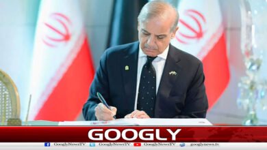 Prime Minister Shahbaz Sharif's condolence message on Iran's national tragedy