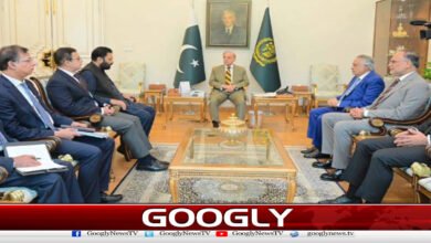 وزیراعظم کا گلگت بلتستان کے عوام کی فلاح کیلئے مل کر کام کرنے کے عزم کا اعادہ 5 Prime Minister reiterates commitment to work together for the welfare of the people of Gilgit-Baltistan