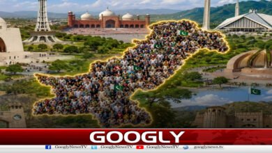 Rapidly growing population is a big challenge, coordinated measures are inevitable: Shehbaz Sharif