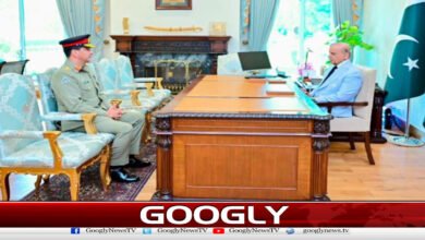 Prime Minister promoted Lieutenant General Amir Raza to the rank of Four Star General.