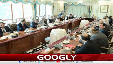 اوور سیز پاکستانی قیمتی اثاثہ، ہر ممکن سہولت فراہم کرنا ترجیح ہے: وزیر اعظم 2 Overseas Pakistanis are a valuable asset, providing them with every possible facility is a priority: Prime Minister