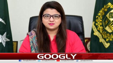 Pakistan is making rapid progress in the fields of robotics, AI: Shaza Fatima