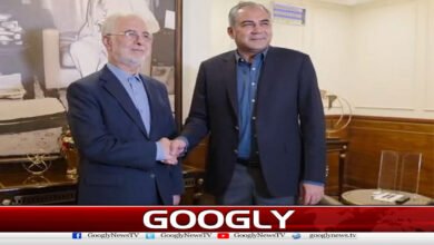 Pak-Iran interior ministers meet, vow to further strengthen security cooperation