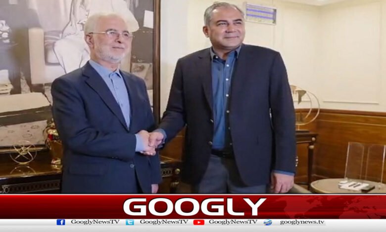 Pak-Iran interior ministers meet, vow to further strengthen security cooperation