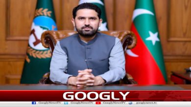 Merged districts are playing the role of frontline against terrorism: Sohail Afridi