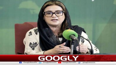 پیپلز پارٹی آزاد کشمیر الیکشن میں دھاندلی میں ملوث ہے: عظمی بخاری 5 PPP involved in rigging in Azad Kashmir elections: Uzma Bukhari