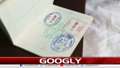 How was the group that scammed Pakistanis with fake embassies online caught?
