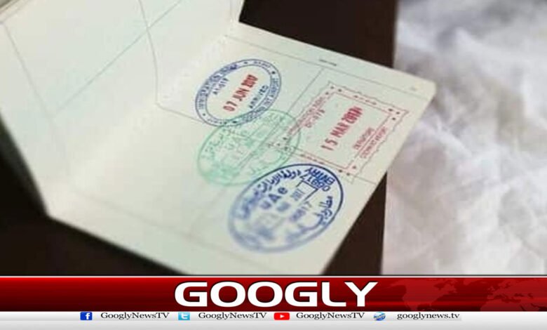 How was the group that scammed Pakistanis with fake embassies online caught?