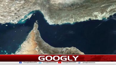 12 countries agree to maintain uninterrupted trade in the Strait of Hormuz.