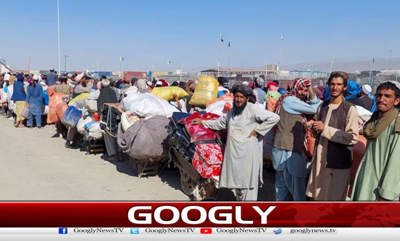افغان شہریوں کو قیام میں توسیع نہیں ملےگی،پاکستان کادوٹوک اعلان 1 Afghan citizens will not be granted an extension of their stay; Pakistan's unequivocal announcement.