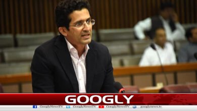Petrol and diesel prices raised due to a rise in the global market: Petroleum Minister